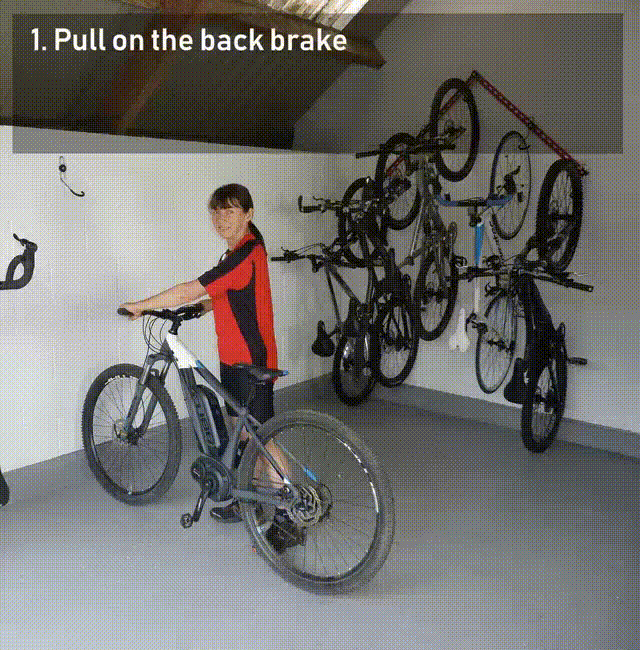 3 bike wall mount - no lift
