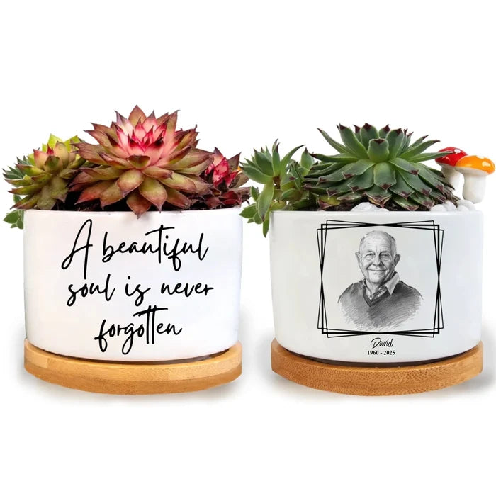 Plant Pot / n/a / 1 PCS