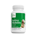 Active Mobility