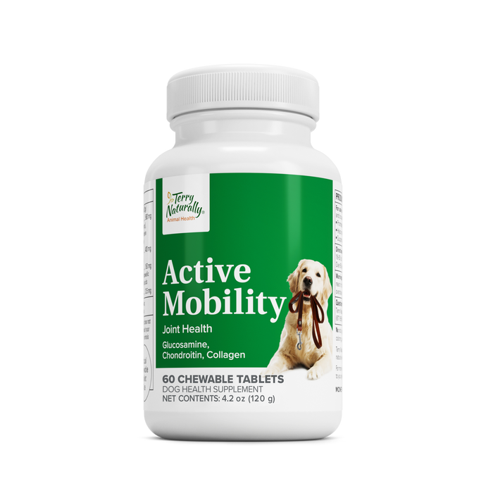 Active Mobility