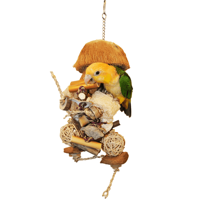 A&E Java Bush - Small - New York Bird Supply