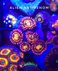 Alien Antivenom (Designer)