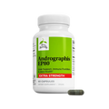 Andrographis EP80™ Extra Strength