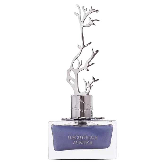 Arura Delicious Winter 100ml