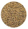 BARLEY STEAM FLAKED 25KG