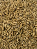BARLEY WHOLE CLIPPED & DRESSED 25KG
