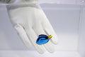 Blue Hippo Tang (Paracanthurus Hephatus)
