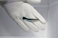 Blue Streak Cleaner Wrasse (Labroides dimidiatus)