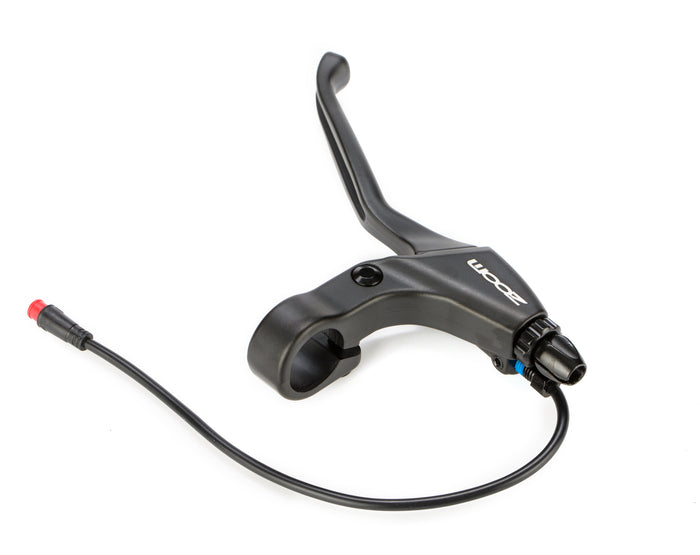 electric bike for adults for sale