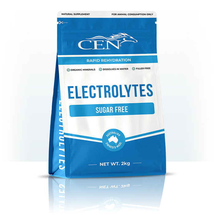 CEN COMPLETE ELECTROLYTE 2KG