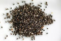 CHIA SEED 1KG