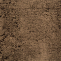 Cortica Ash Wallcovering
