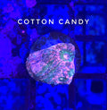 Cotton Candy Chalice