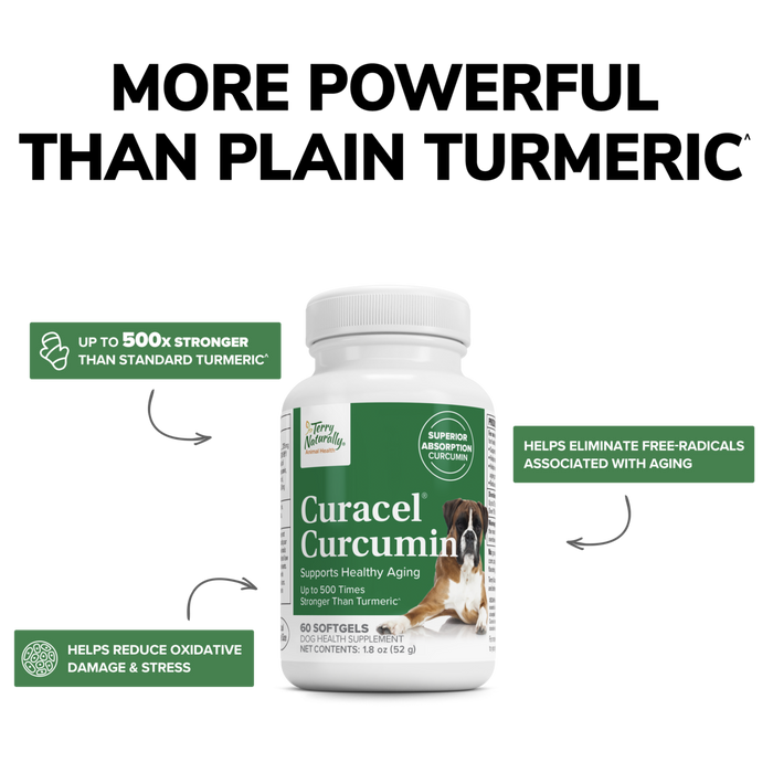 Curacel® Curcumin