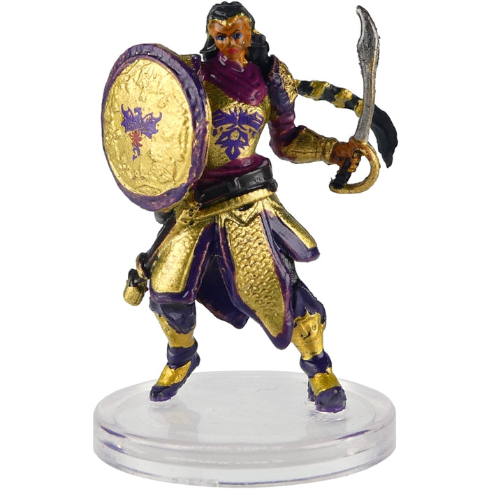 D&D Icons of the Realms: Van Richten's Guide to Ravenloft Singles miniature of a warrior with a shield and sword