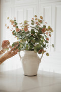 Eucalyptus arrangement ￼