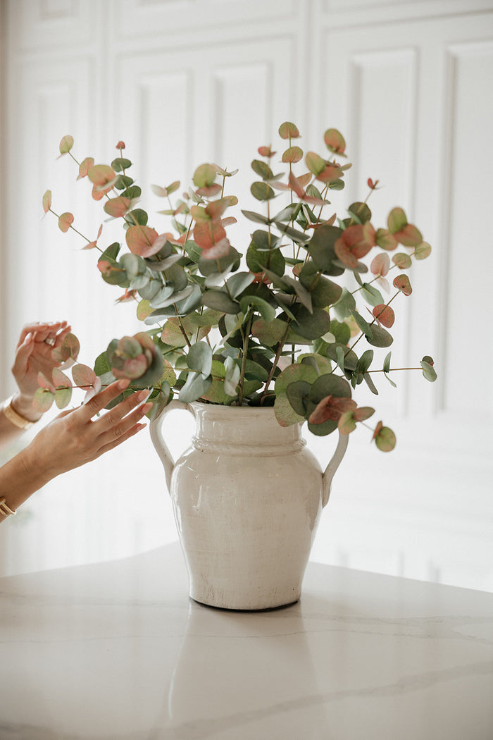Eucalyptus arrangement ￼