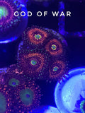 God of War (Designer)