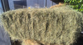 HAY TEFF PER BALE