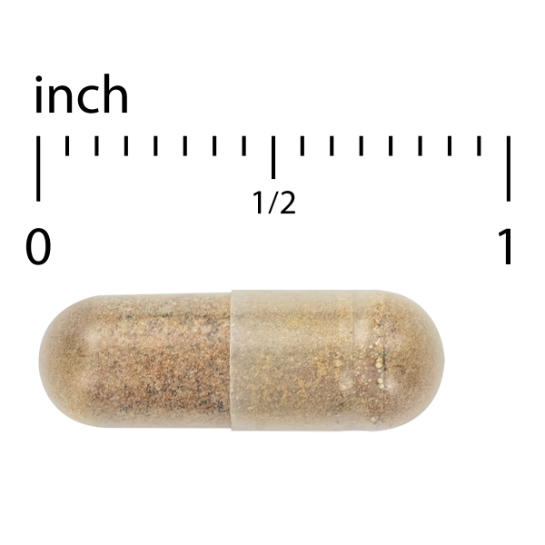 Healthy Liver*