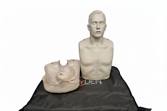 Innosonian Brayden CPR Training Manikin Training manikin SelfiMed UK