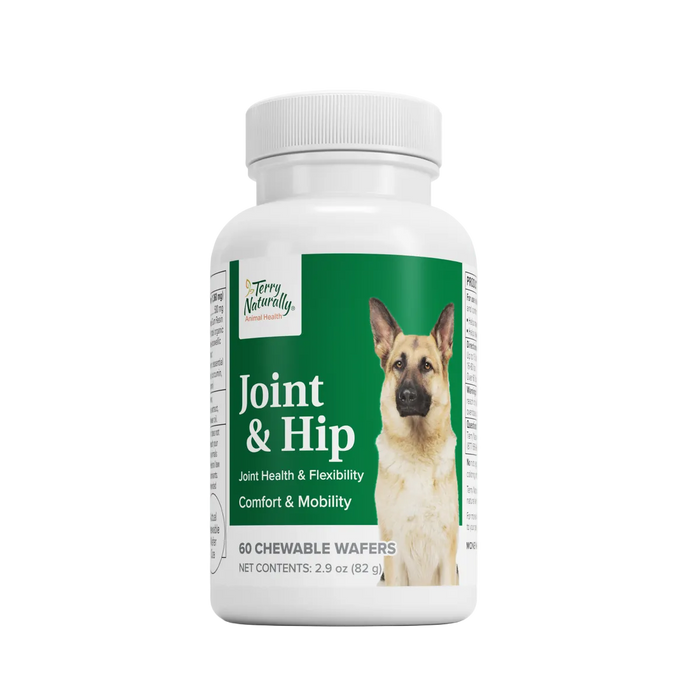 Joint & Hip