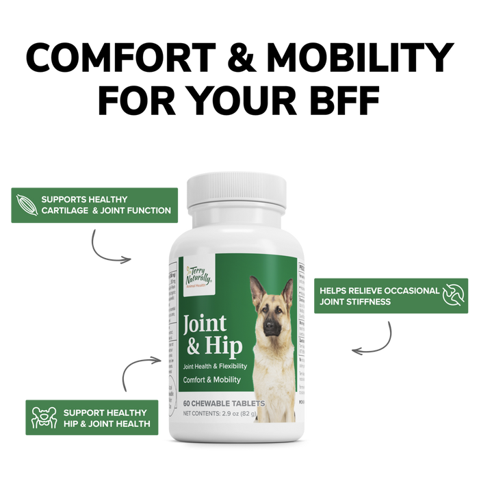 Joint & Hip