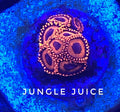 Jungle Juice/Fruit Loops