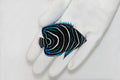 Koran Angelfish (Pomacanthus semicirculatus)