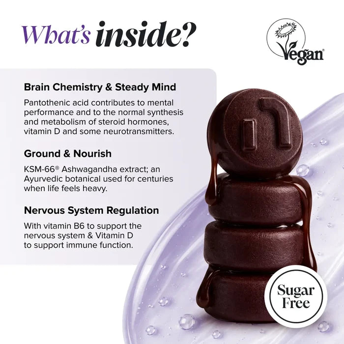Graphic headed 'What's inside?' with a Vegan Society logo and a sugar free badge, beside a stack of glossy dark brown gummies, describing pantothenic acid for mental performance and normal synthesis of steroid hormones, vitamin D and some neurotransmitters, KSM-66 ashwagandha extract as an Ayurvedic botanical, and vitamin B6 for the nervous system with vitamin D for immune function.