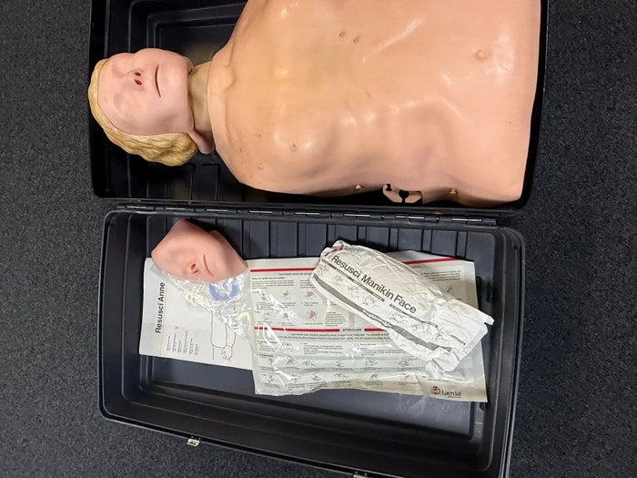 Model 1: Female Torso / VAT Included