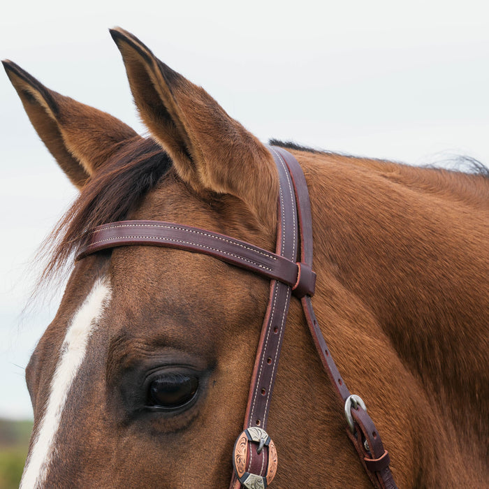 Latigo Western Headstall