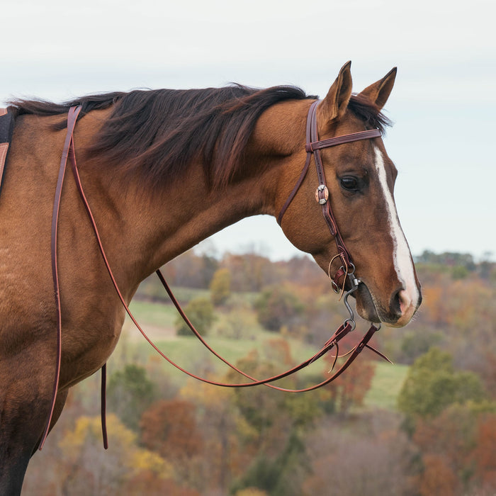 Latigo Western Headstall