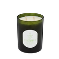 Linnea | Cucumber Vine Soy Candle