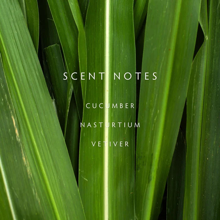 Linnea | Cucumber Vine Soy Candle