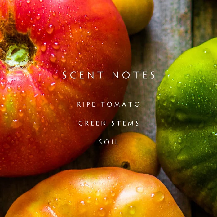 Linnea | Heirloom Tomato Soy Candle