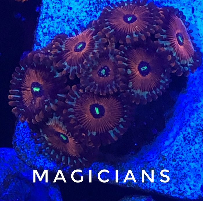 Magician