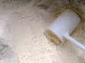 MILK POWDER 4KG
