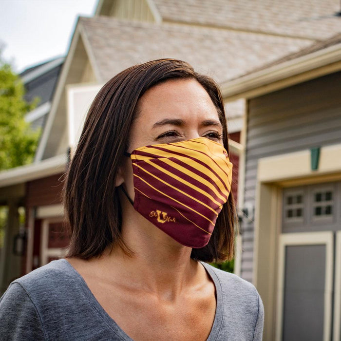 MN Reusable Face Mask - Ski-U-Mah Stripe