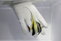 Moorish Idol Zanclus cornutus – quarantined and eating frozen mysis, spirulina brine & clam on the half shell – TSM Aquatics