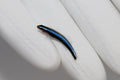 Neon Blue Goby (Elacatinus oceanops)