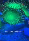 Nuclear Green Paly (Designer)