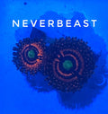 NYRA Neverbeast (Designer)