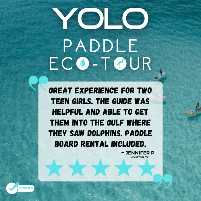 Paddling Eco-Tour