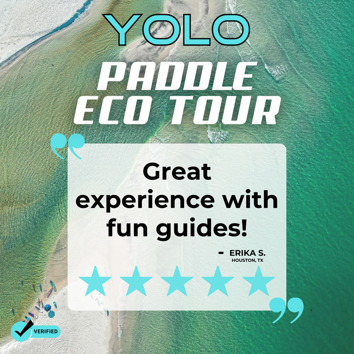 Paddling Eco-Tour