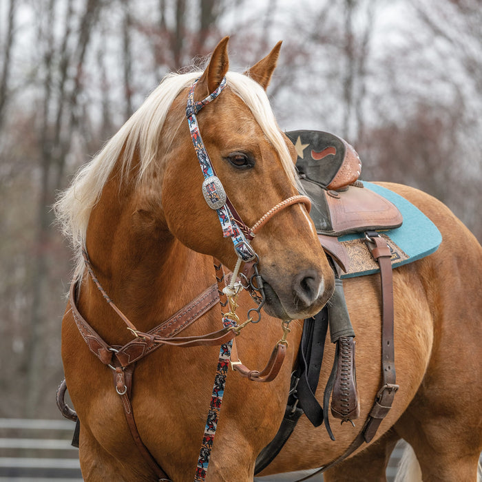 Patterned Poly Headstall