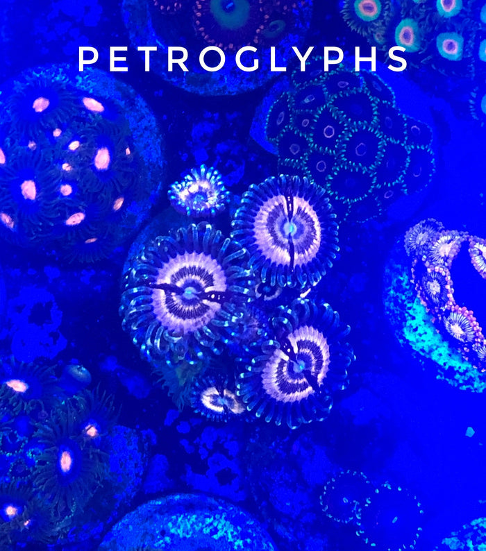 Petroglyph (Designer)