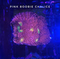 Pink Boobie Chalice