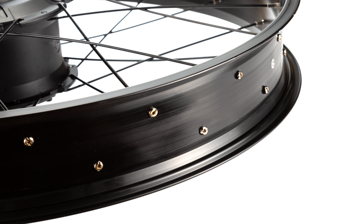 Mokwheel - best electric bike for adults