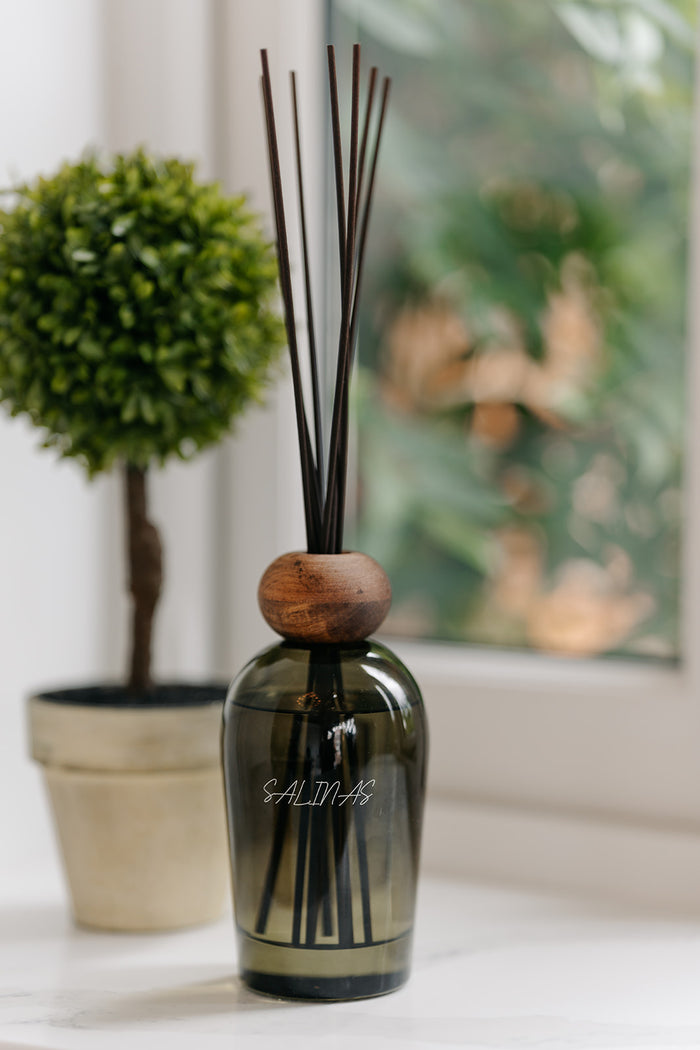 A reed diffuser bottle with dark amber glass, a round wooden stopper, and dark reeds, styled on a white surface next to a potted topiary tree in front of a softly blurred window.